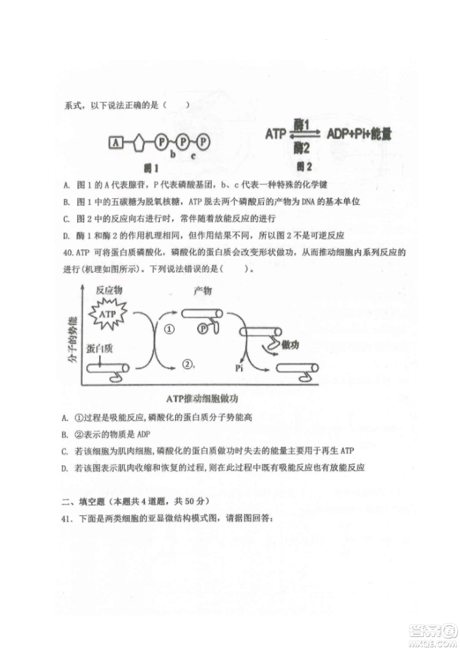 黑龍江省龍西北八校聯(lián)合體2022-2023學(xué)年高三上學(xué)期開學(xué)摸底考試生物試題及答案