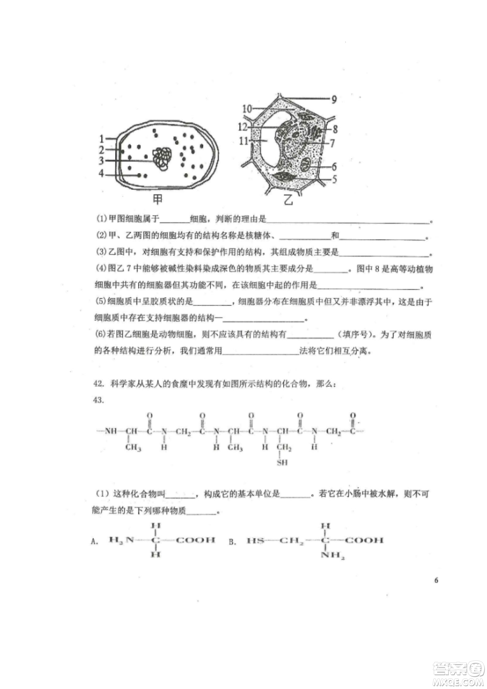 黑龍江省龍西北八校聯(lián)合體2022-2023學(xué)年高三上學(xué)期開學(xué)摸底考試生物試題及答案