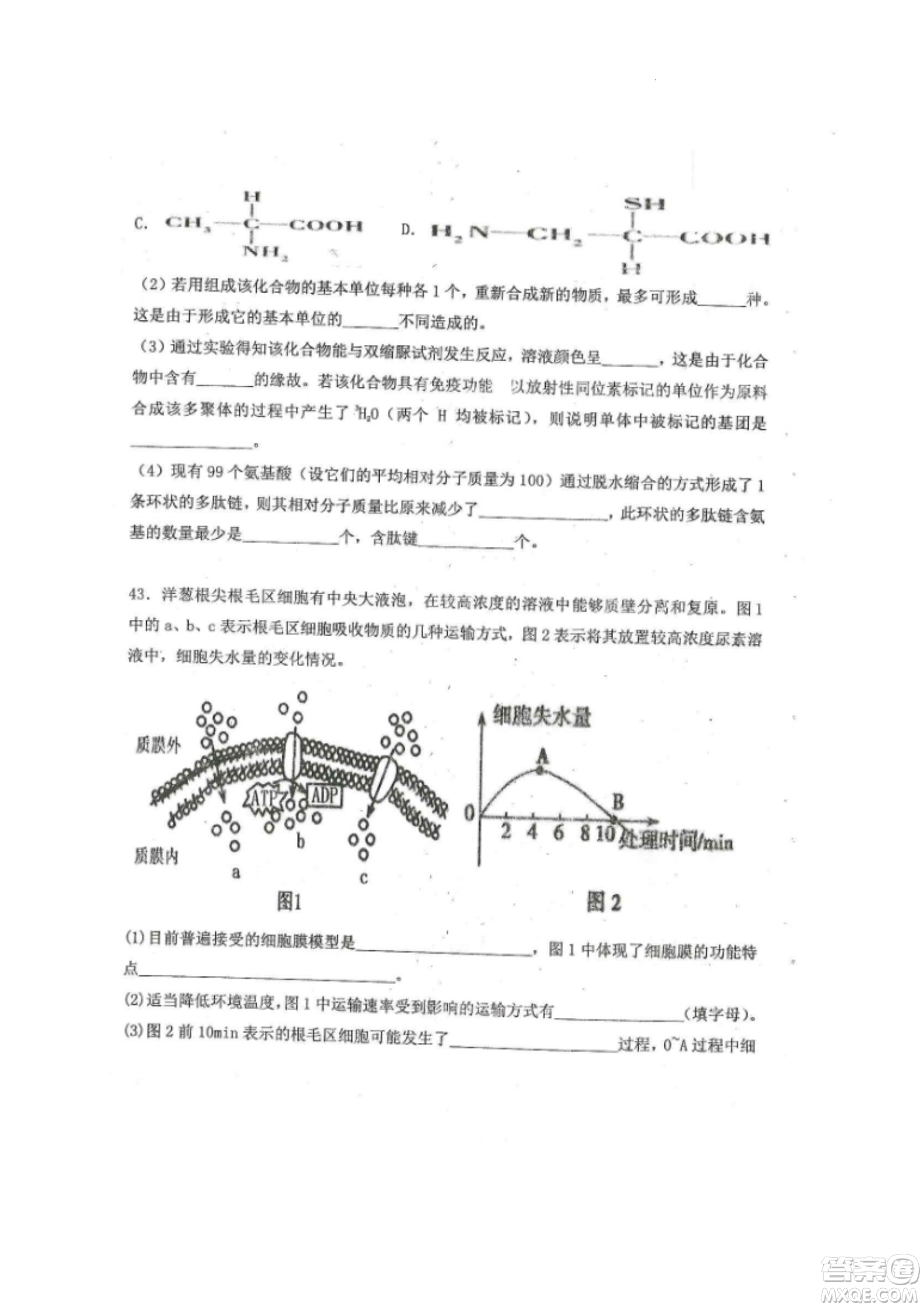 黑龍江省龍西北八校聯(lián)合體2022-2023學(xué)年高三上學(xué)期開學(xué)摸底考試生物試題及答案