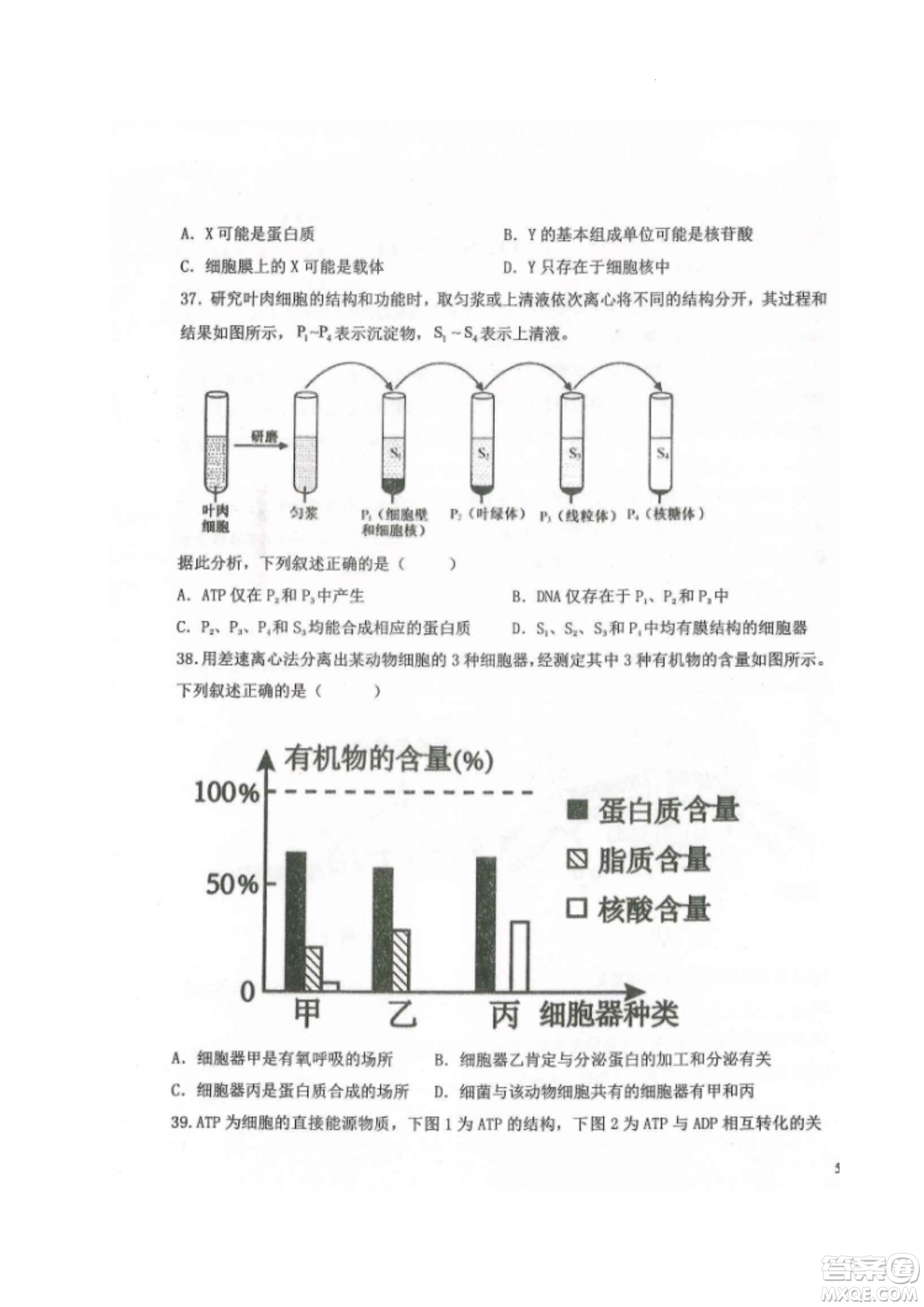 黑龍江省龍西北八校聯(lián)合體2022-2023學(xué)年高三上學(xué)期開學(xué)摸底考試生物試題及答案