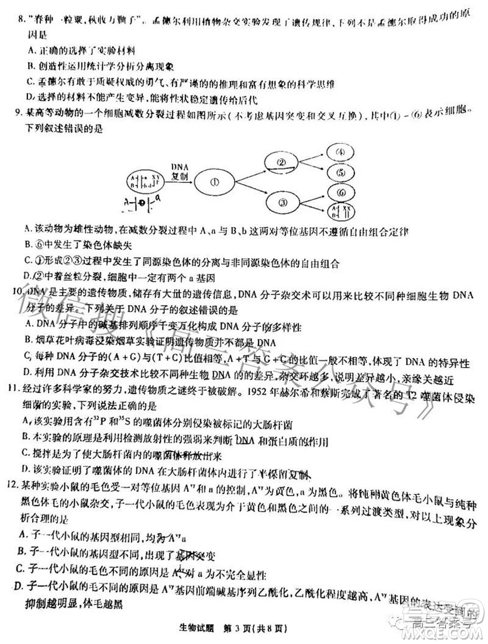 江淮十校2023屆高三第一次聯(lián)考生物試題及答案