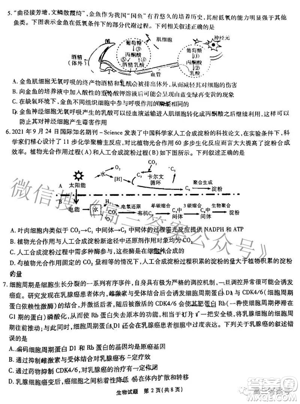 江淮十校2023屆高三第一次聯(lián)考生物試題及答案