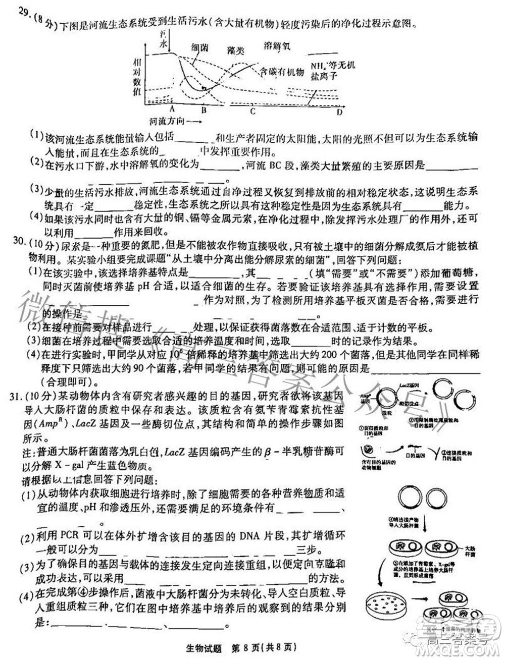 江淮十校2023屆高三第一次聯(lián)考生物試題及答案