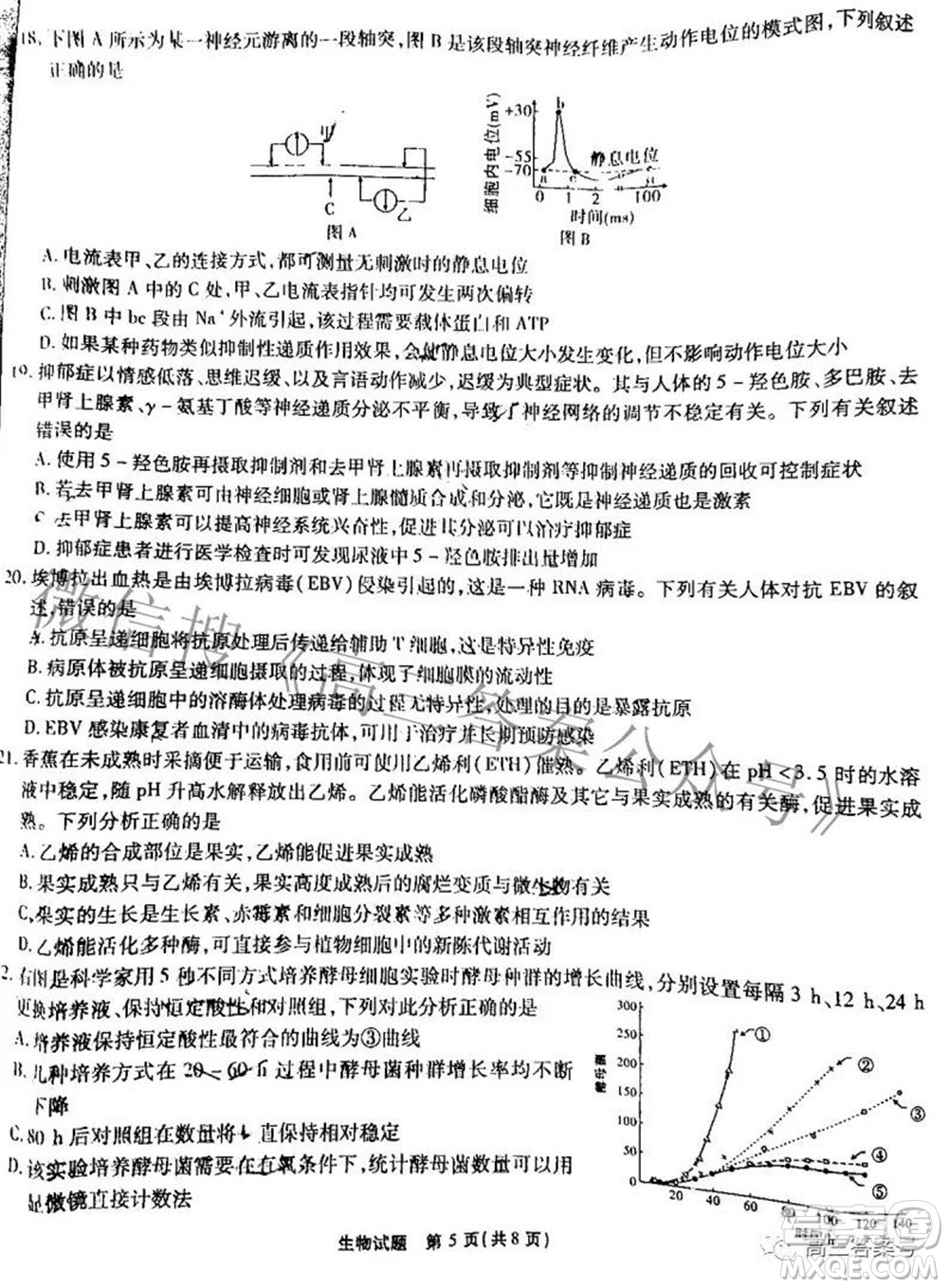 江淮十校2023屆高三第一次聯(lián)考生物試題及答案