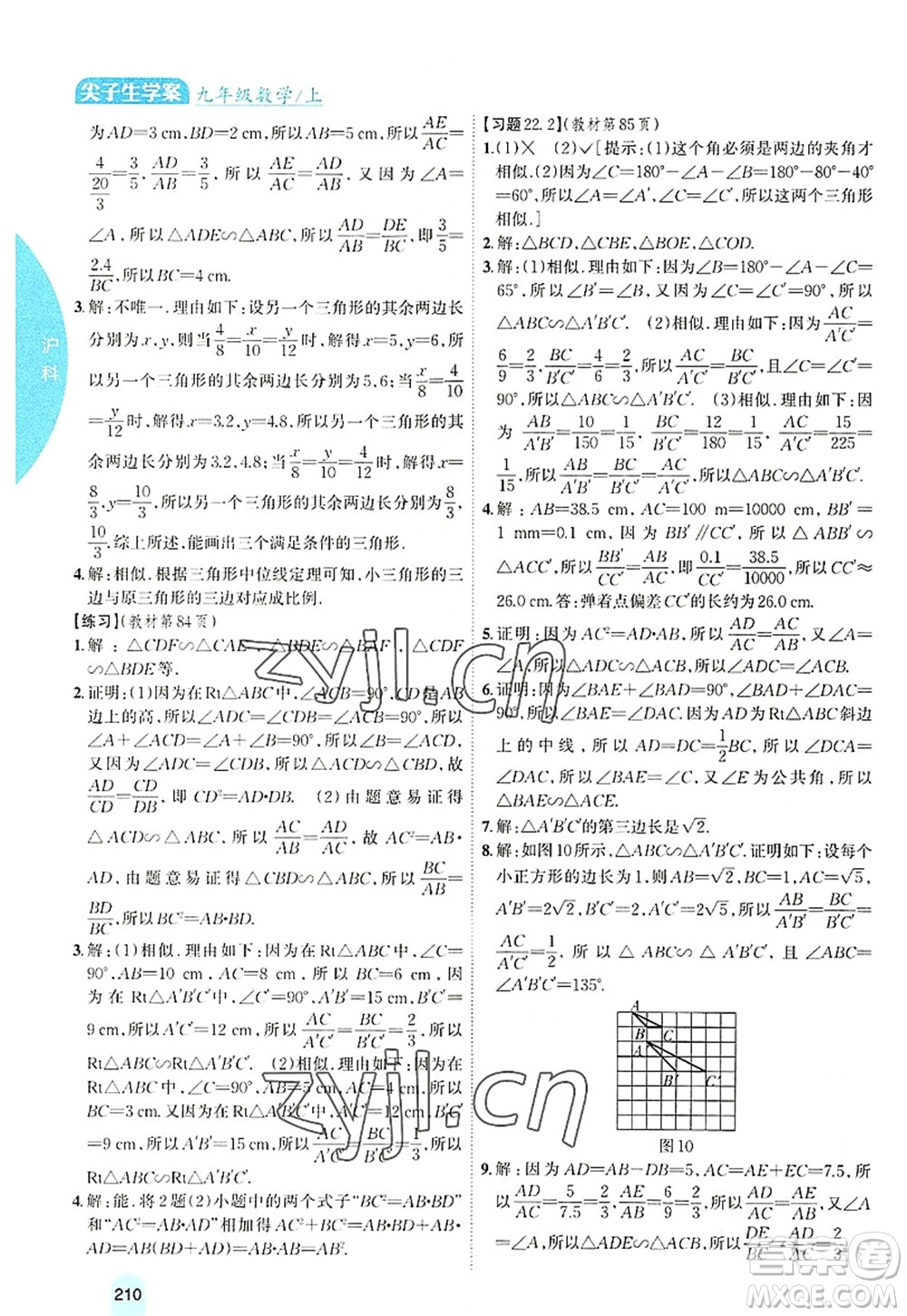 吉林人民出版社2022尖子生學(xué)案九年級數(shù)學(xué)上冊滬科版答案