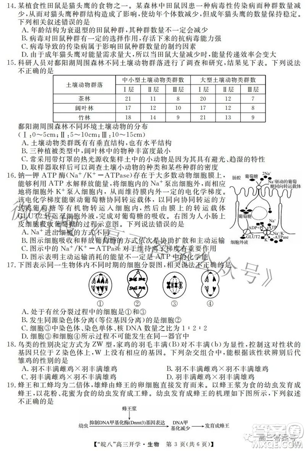 2023屆皖南八校高三開學考試生物試題及答案