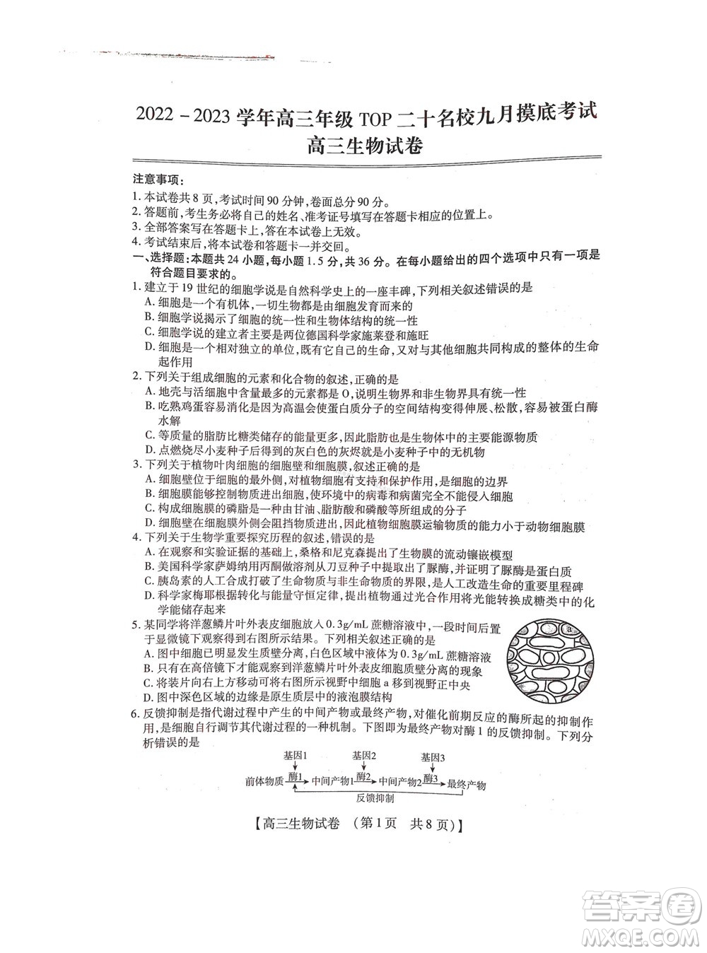 河南省六市2022-2023學(xué)年高三年級(jí)TOP二十名校九月摸底考試高三生物試卷及答案