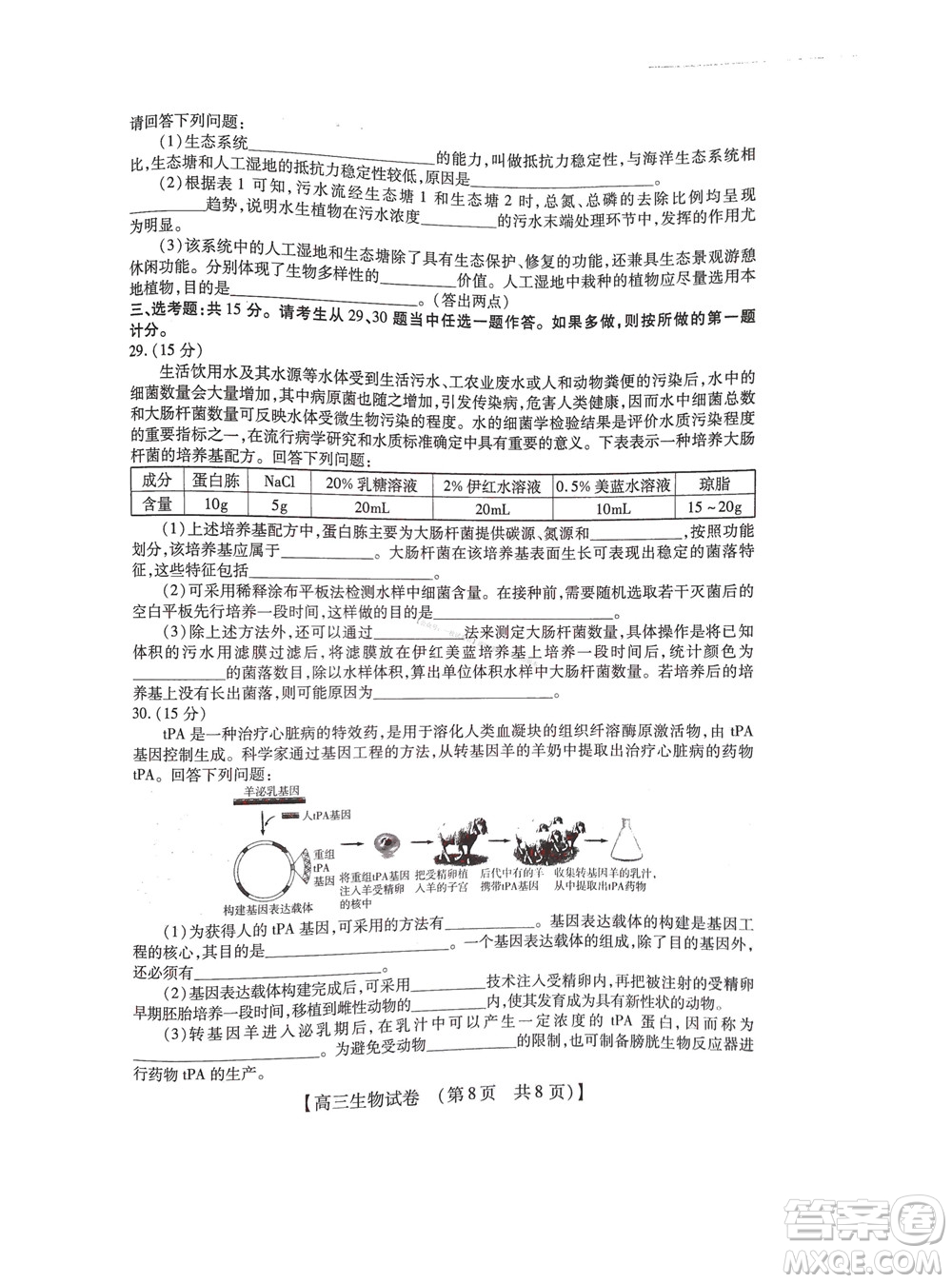 河南省六市2022-2023學(xué)年高三年級(jí)TOP二十名校九月摸底考試高三生物試卷及答案