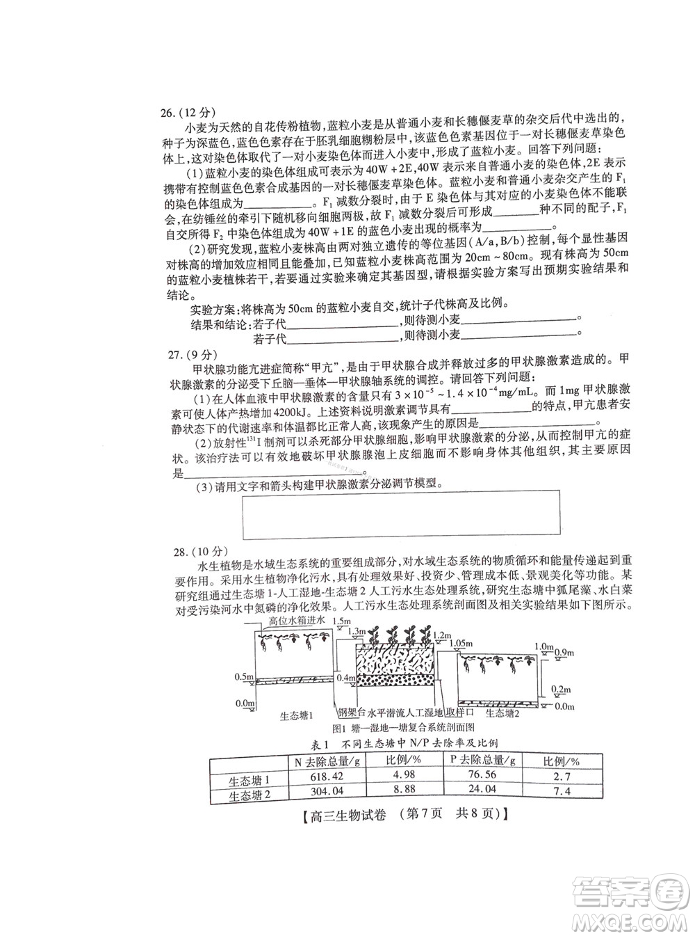 河南省六市2022-2023學(xué)年高三年級(jí)TOP二十名校九月摸底考試高三生物試卷及答案