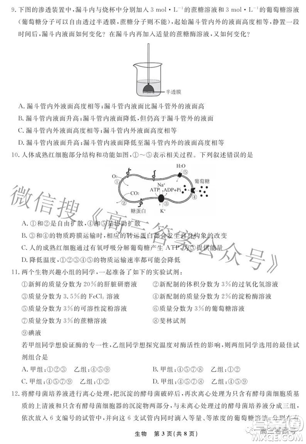 遼寧省名校聯(lián)盟2022年高三9月份聯(lián)合考試生物試題及答案