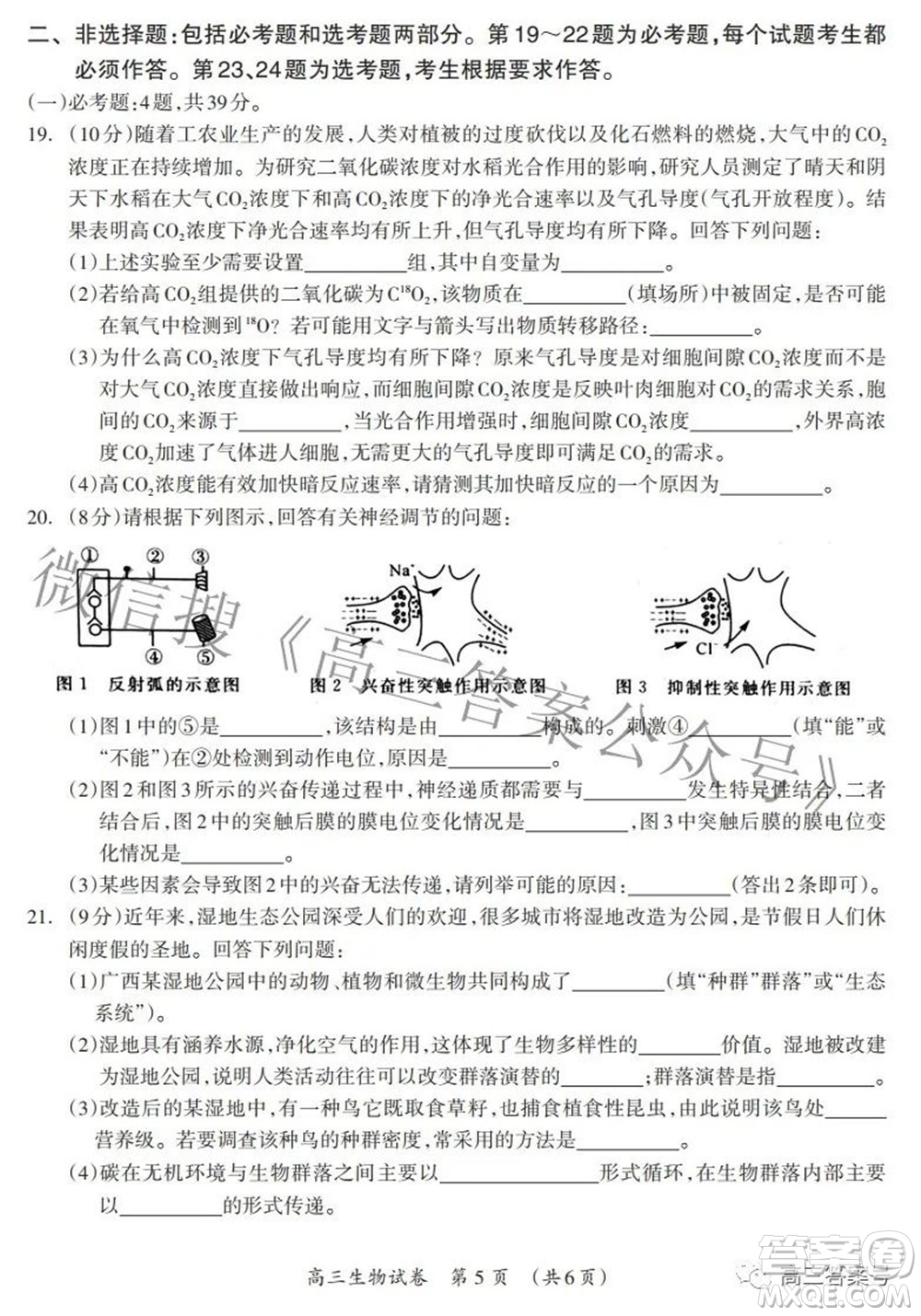 廣西2022年9月聯(lián)盟校入學(xué)統(tǒng)一檢測(cè)卷高三生物試題及答案