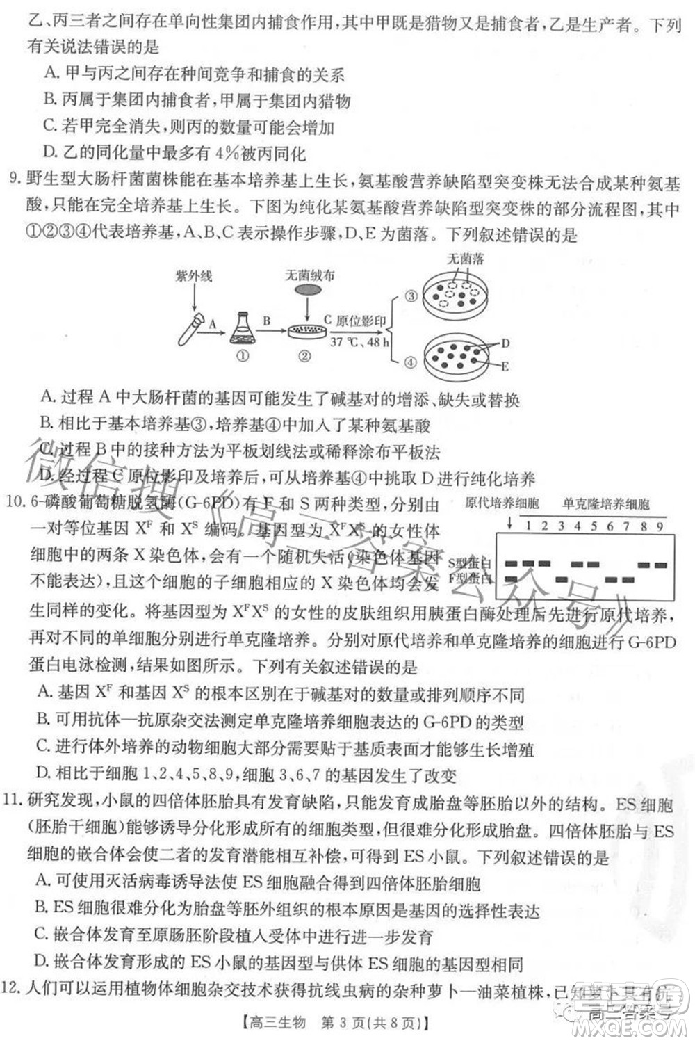 2023屆福建金太陽(yáng)高三9月聯(lián)考生物試題及答案