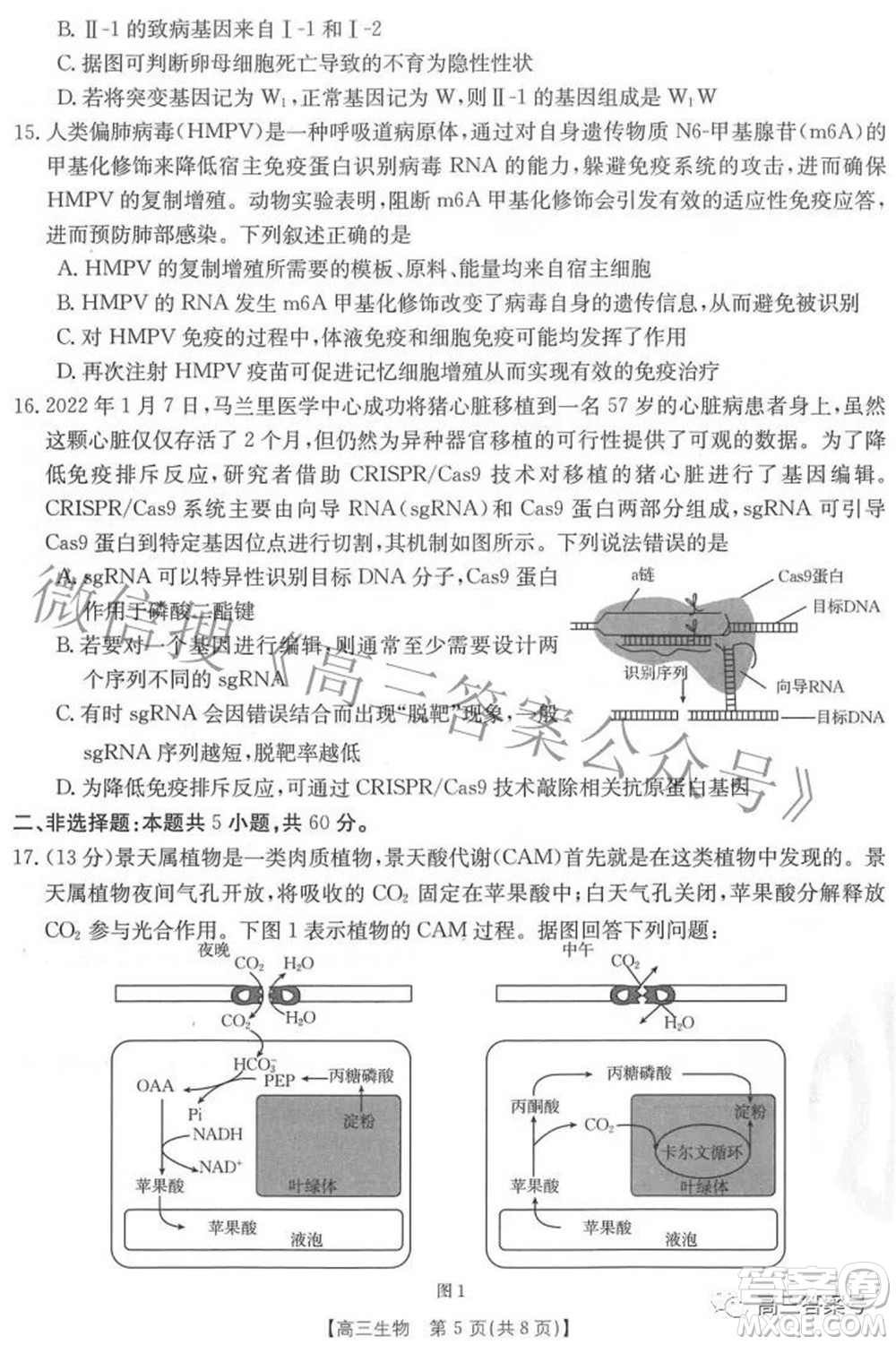 2023屆福建金太陽(yáng)高三9月聯(lián)考生物試題及答案