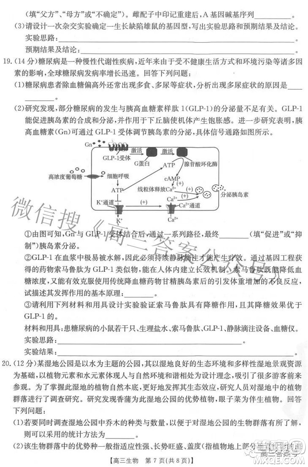 2023屆福建金太陽(yáng)高三9月聯(lián)考生物試題及答案