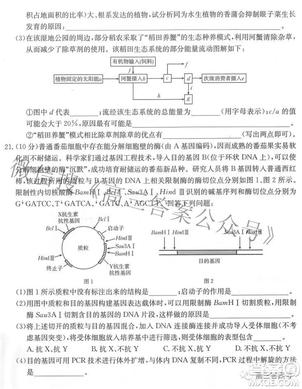 2023屆福建金太陽(yáng)高三9月聯(lián)考生物試題及答案