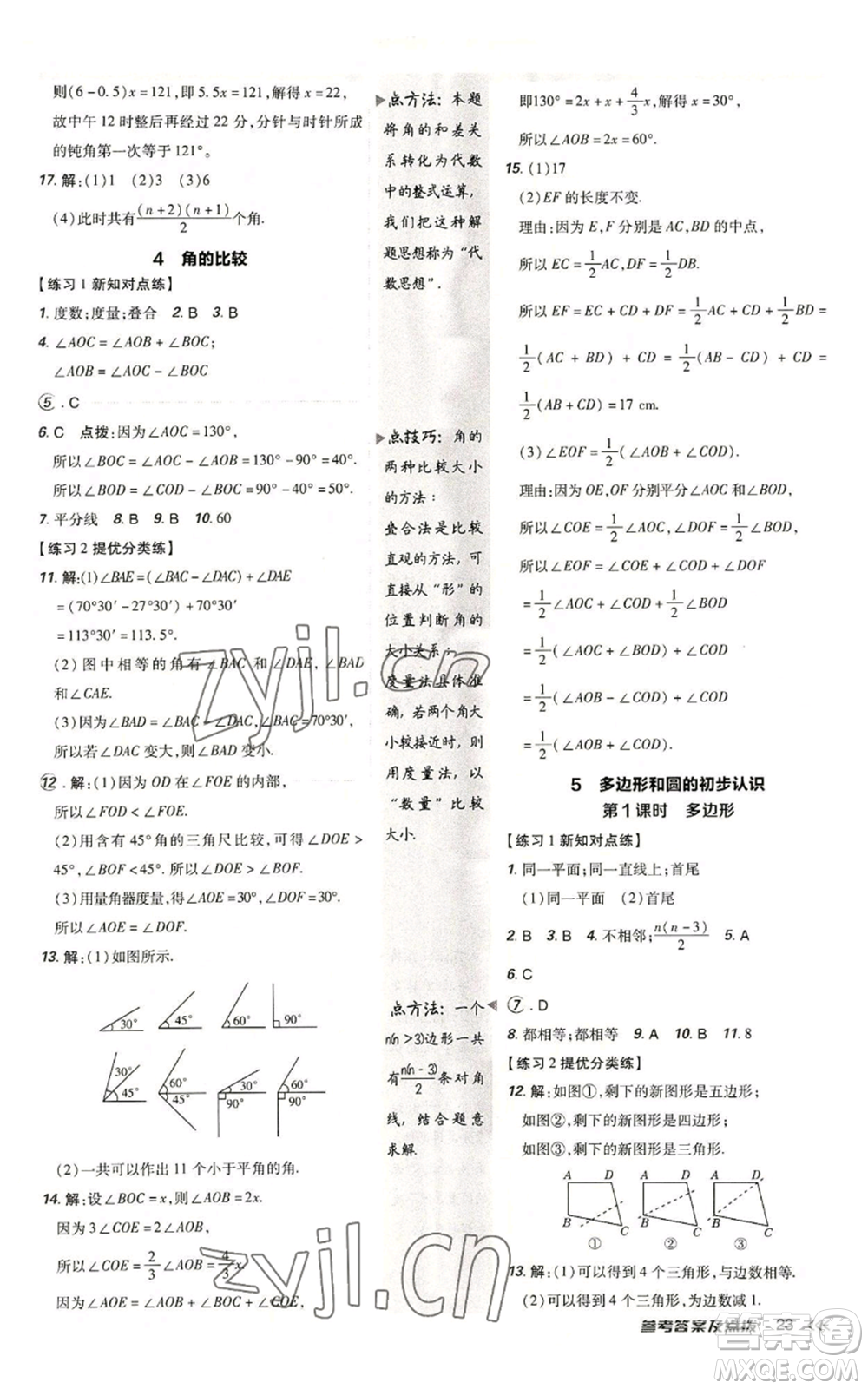 安徽教育出版社2022秋季點(diǎn)撥訓(xùn)練七年級上冊數(shù)學(xué)北師大版參考答案