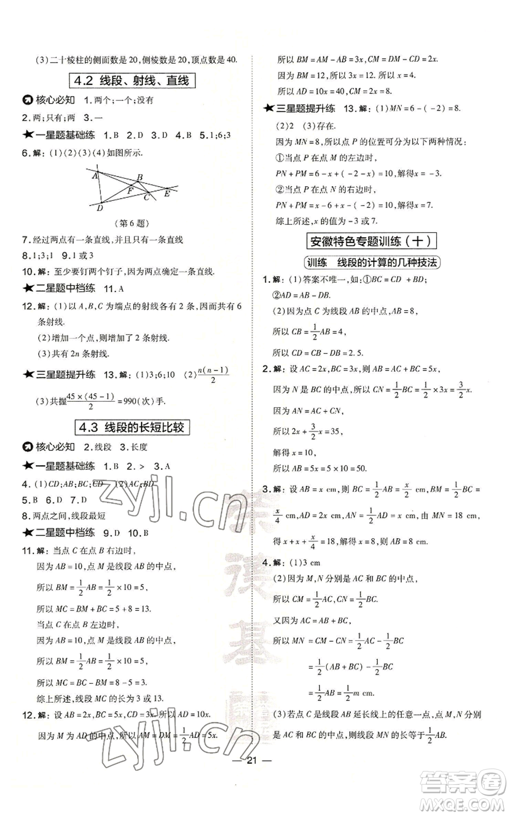 山西教育出版社2022秋季點(diǎn)撥訓(xùn)練七年級上冊數(shù)學(xué)滬科版安徽專用參考答案