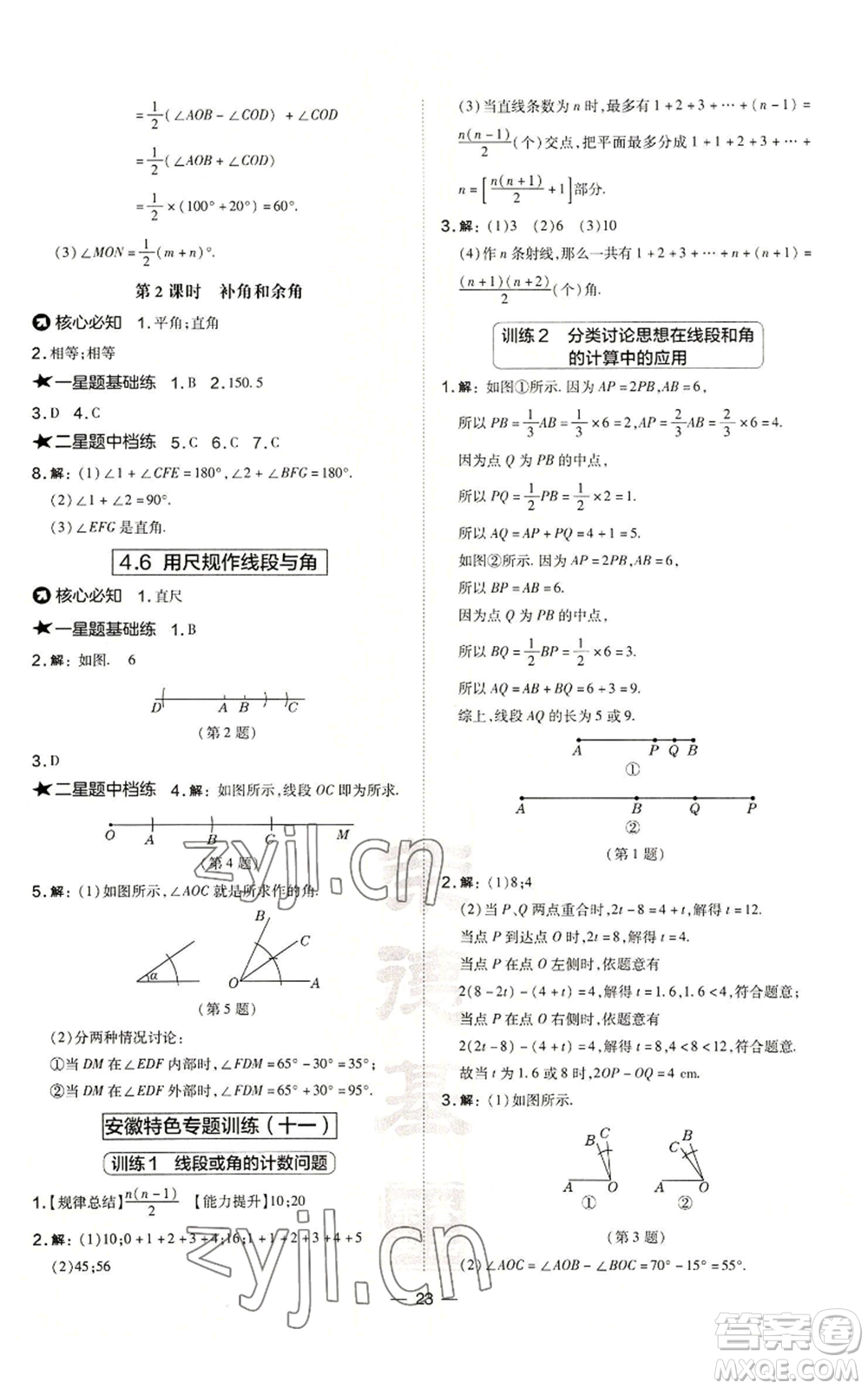 山西教育出版社2022秋季點(diǎn)撥訓(xùn)練七年級上冊數(shù)學(xué)滬科版安徽專用參考答案