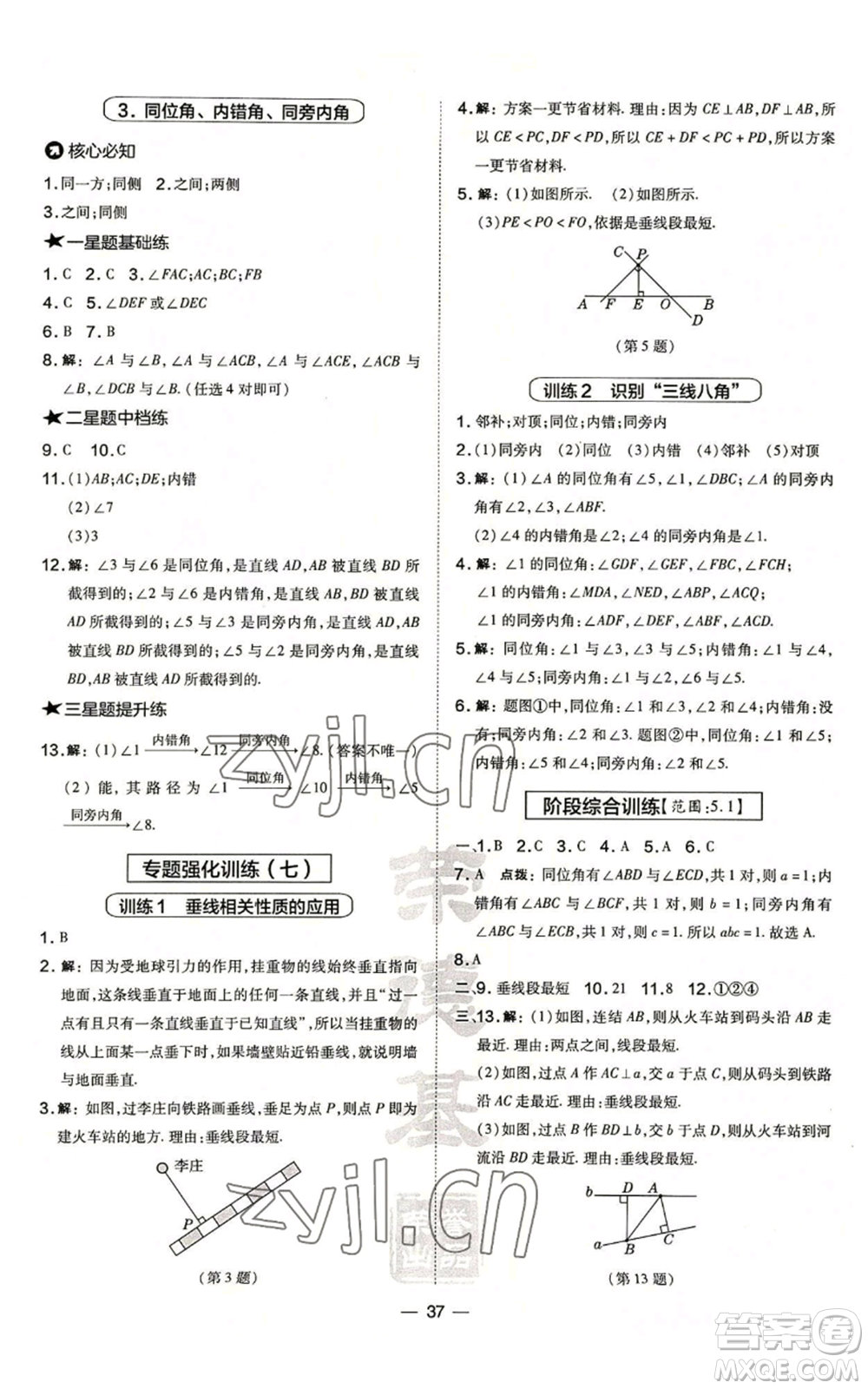 山西教育出版社2022秋季點(diǎn)撥訓(xùn)練七年級(jí)上冊(cè)數(shù)學(xué)華師大版參考答案