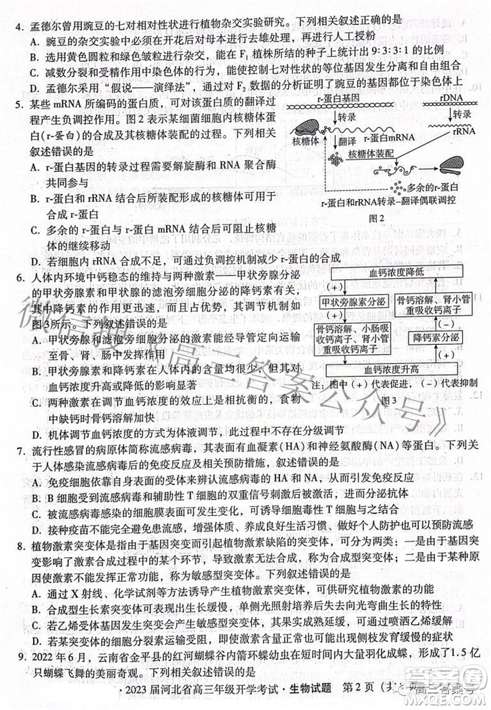 2023屆河北省高三年級(jí)開學(xué)考試生物試題及答案