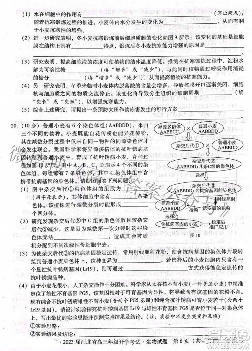 2023屆河北省高三年級(jí)開學(xué)考試生物試題及答案