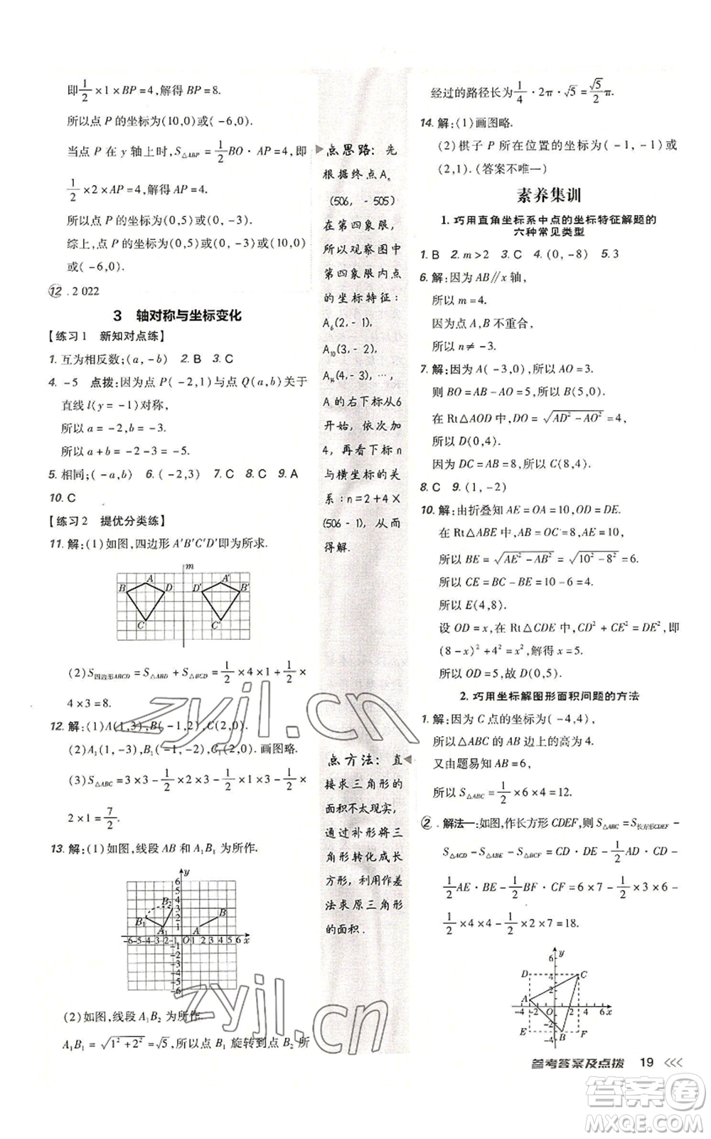 安徽教育出版社2022秋季點撥訓(xùn)練八年級上冊數(shù)學(xué)北師大版參考答案