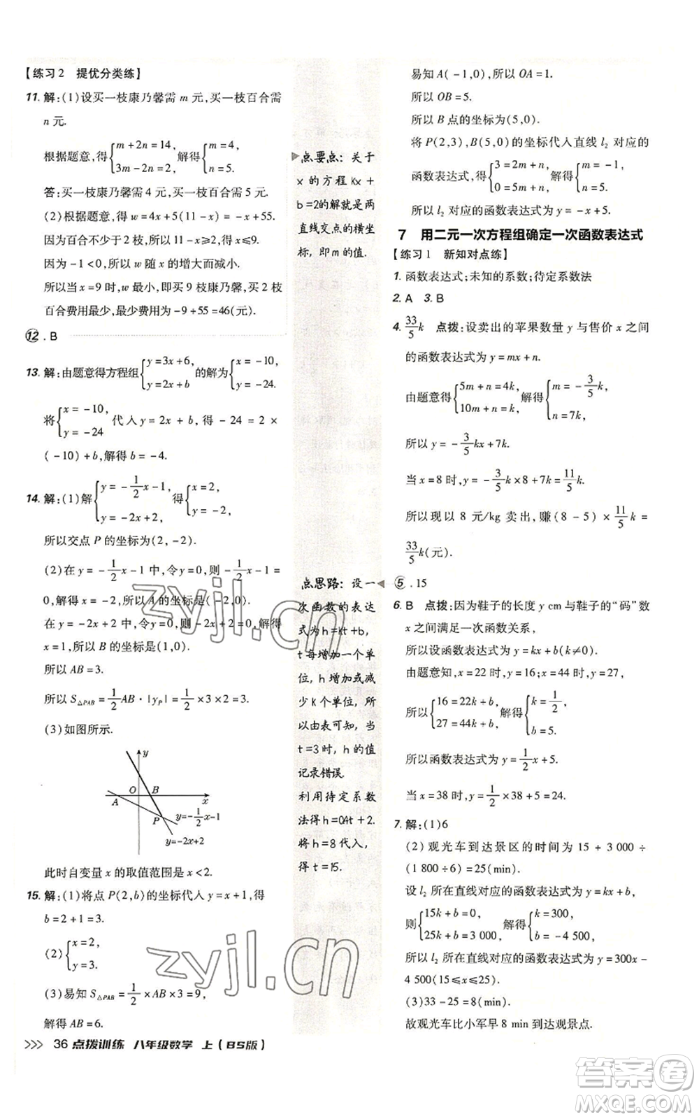 安徽教育出版社2022秋季點撥訓(xùn)練八年級上冊數(shù)學(xué)北師大版參考答案