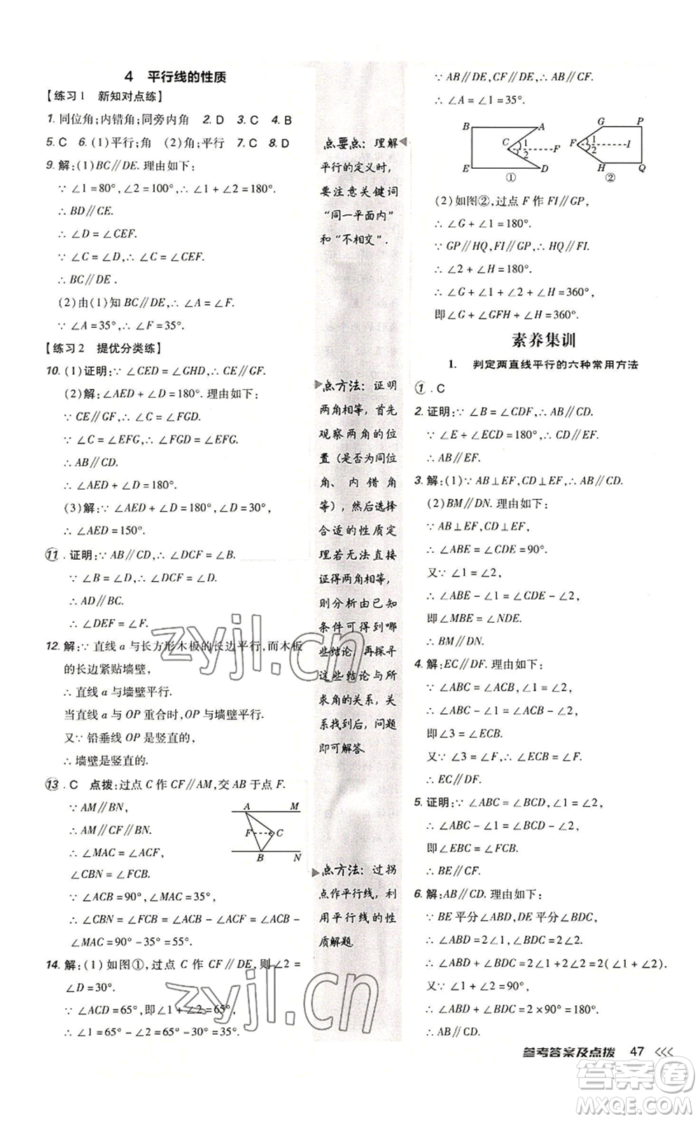 安徽教育出版社2022秋季點撥訓(xùn)練八年級上冊數(shù)學(xué)北師大版參考答案