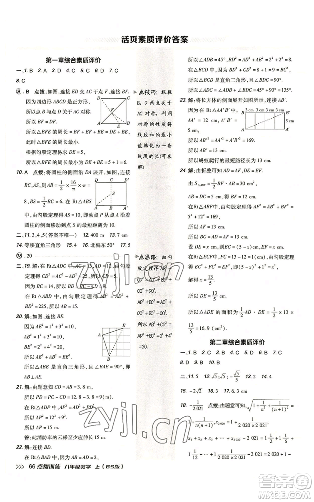 安徽教育出版社2022秋季點撥訓(xùn)練八年級上冊數(shù)學(xué)北師大版參考答案