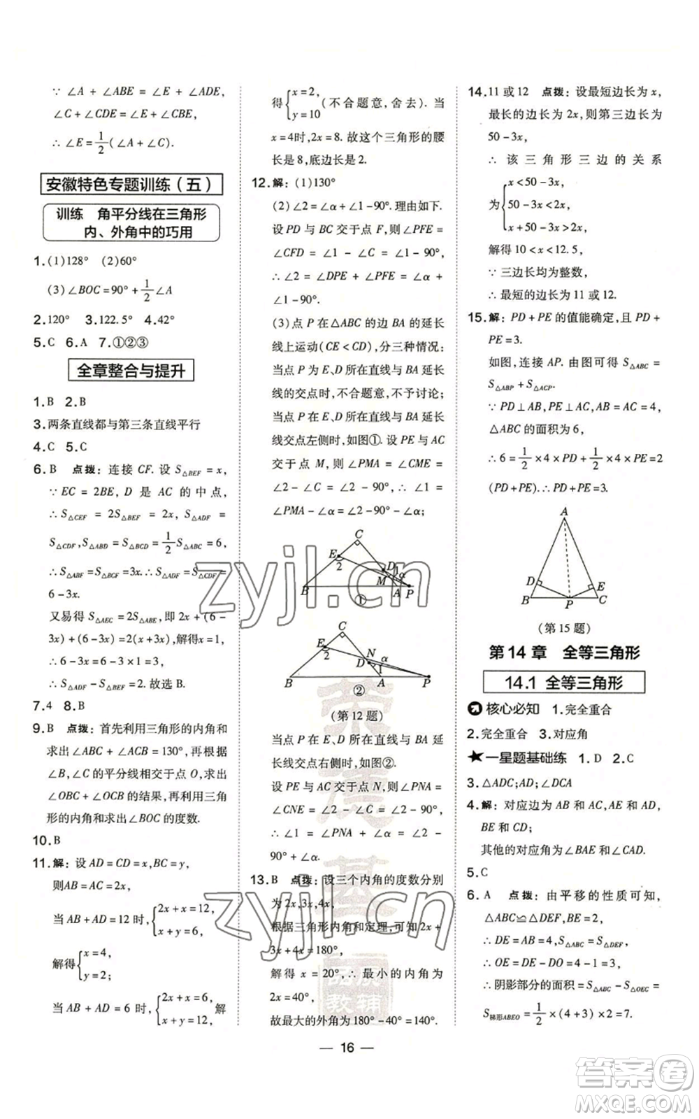 山西教育出版社2022秋季點(diǎn)撥訓(xùn)練八年級(jí)上冊(cè)數(shù)學(xué)滬科版安徽專用參考答案