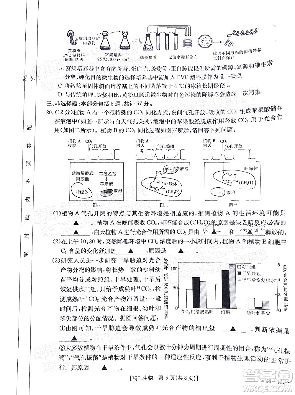 2023屆江蘇省百校聯(lián)考高三年級(jí)第一次考試生物試卷及答案