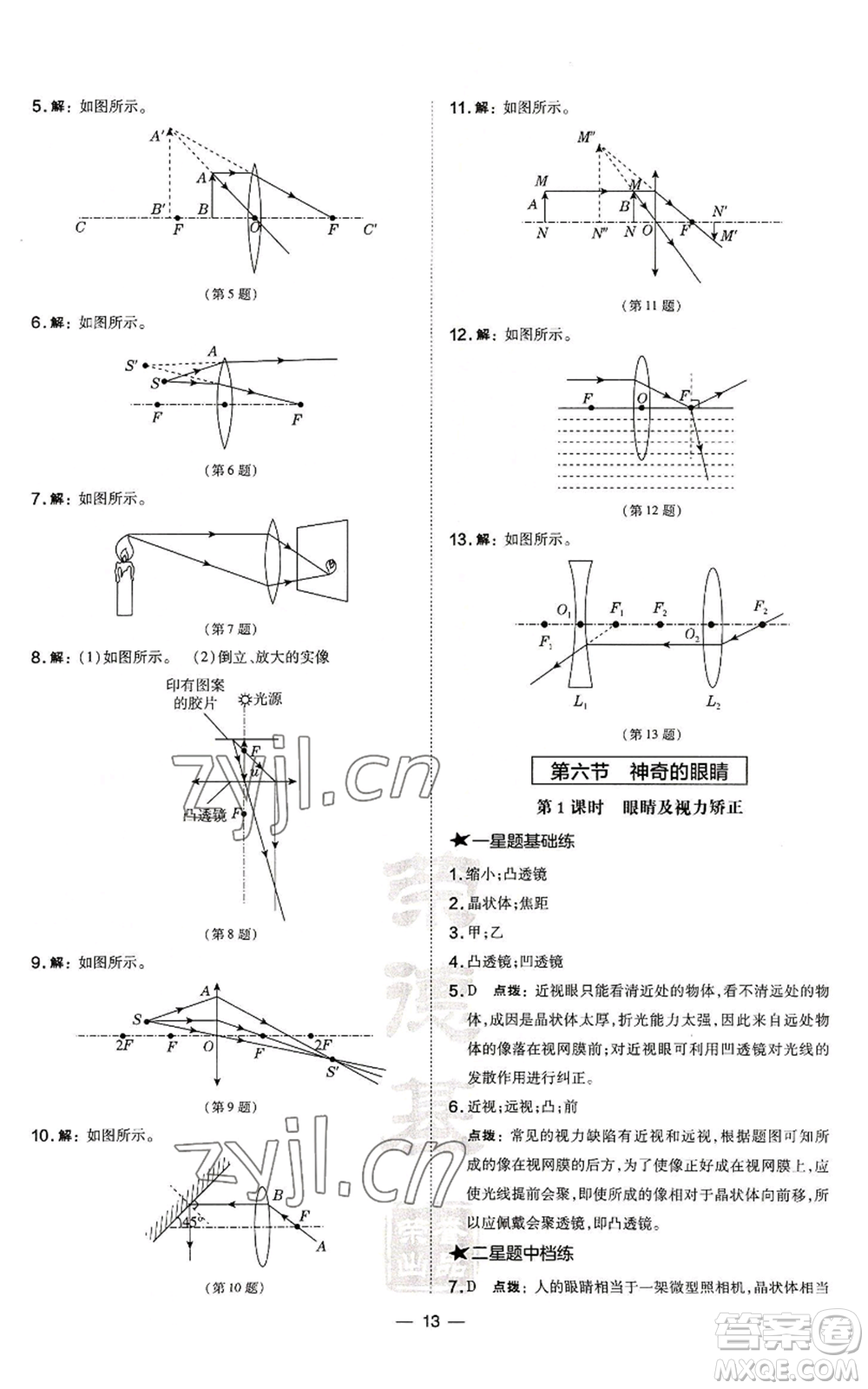 安徽教育出版社2022秋季點撥訓(xùn)練八年級上冊物理滬科版安徽專版參考答案