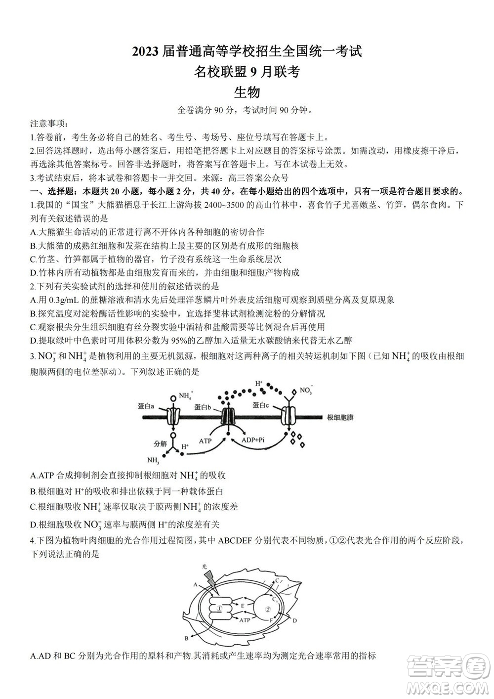 2023屆普通高等學(xué)校招生全國統(tǒng)一考試青桐鳴9月聯(lián)考生物試題及答案