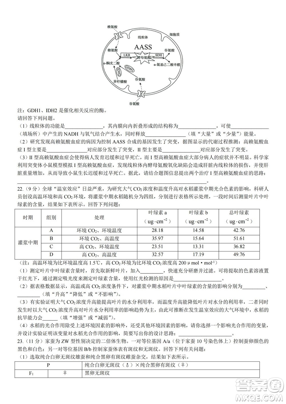 2023屆普通高等學(xué)校招生全國統(tǒng)一考試青桐鳴9月聯(lián)考生物試題及答案