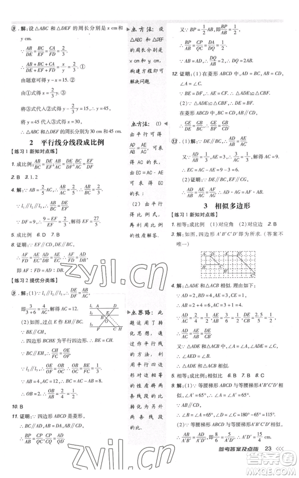 安徽教育出版社2022秋季點(diǎn)撥訓(xùn)練九年級(jí)上冊(cè)數(shù)學(xué)北師大版參考答案