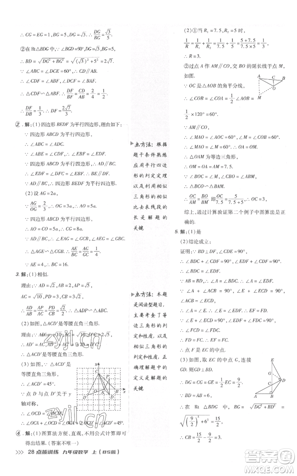 安徽教育出版社2022秋季點(diǎn)撥訓(xùn)練九年級(jí)上冊(cè)數(shù)學(xué)北師大版參考答案