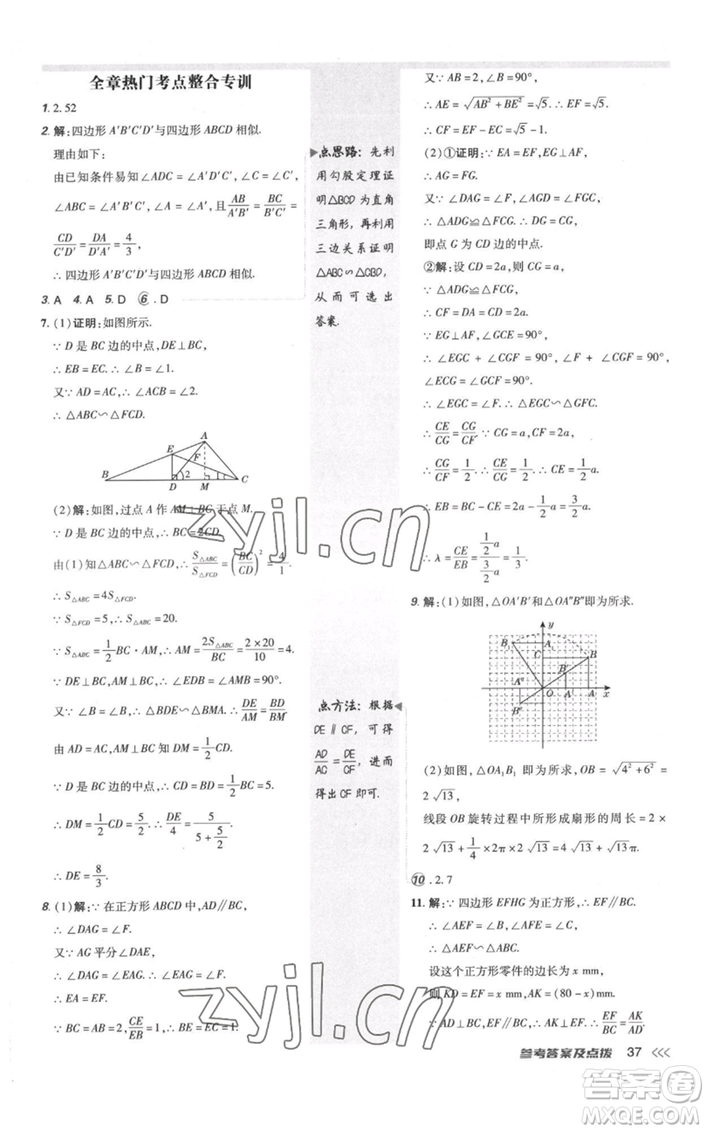 安徽教育出版社2022秋季點(diǎn)撥訓(xùn)練九年級(jí)上冊(cè)數(shù)學(xué)北師大版參考答案