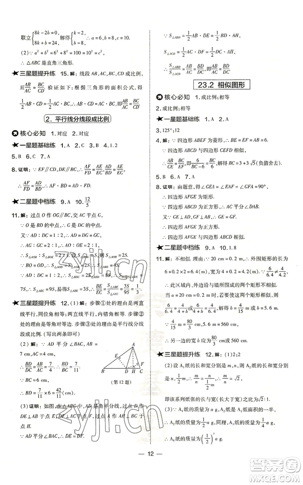 山西教育出版社2022秋季點(diǎn)撥訓(xùn)練九年級(jí)上冊(cè)數(shù)學(xué)華師大版參考答案