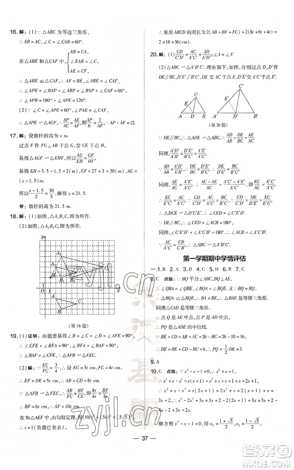 山西教育出版社2022秋季點(diǎn)撥訓(xùn)練九年級(jí)上冊(cè)數(shù)學(xué)華師大版參考答案