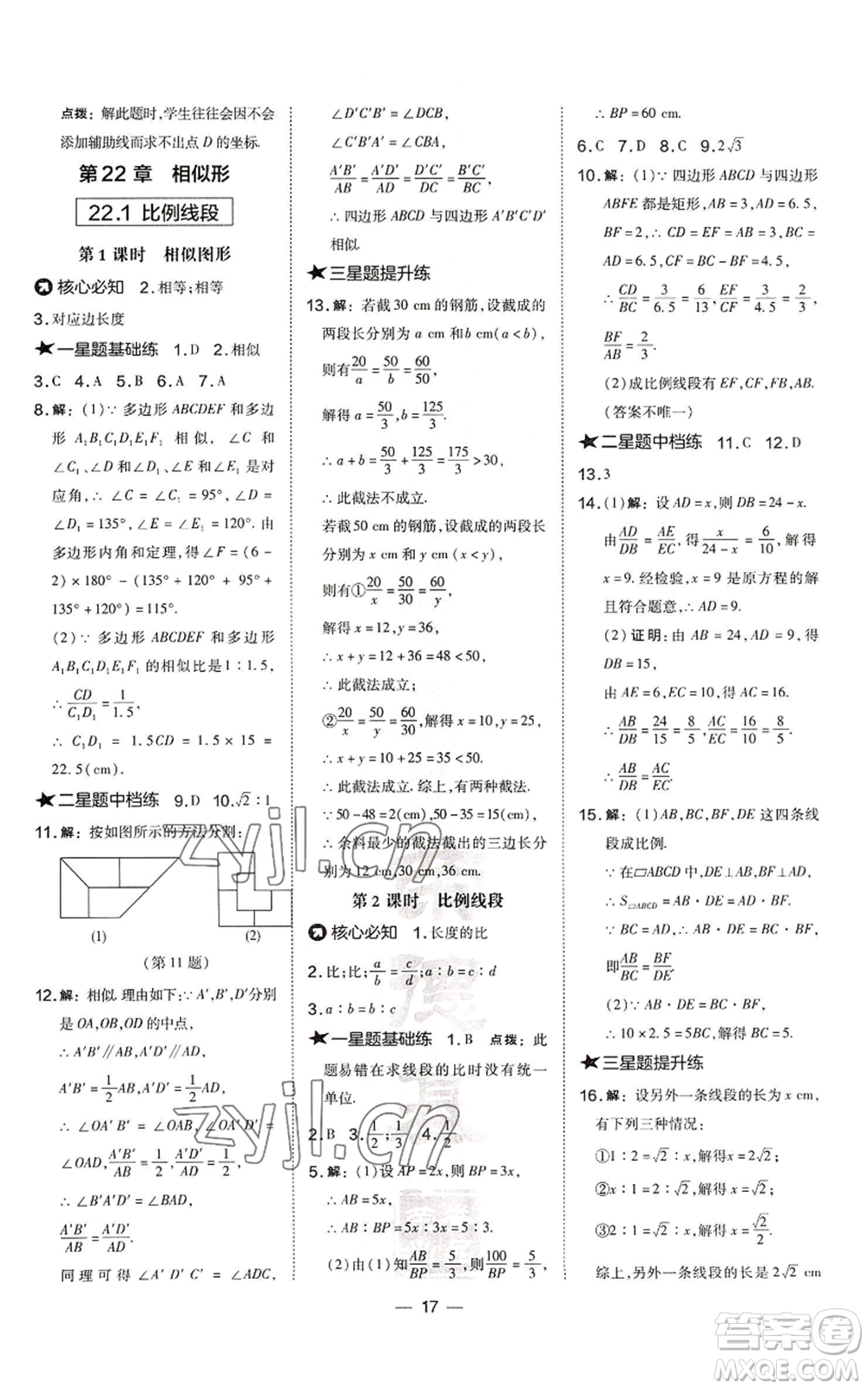 山西教育出版社2022秋季點(diǎn)撥訓(xùn)練九年級(jí)上冊(cè)數(shù)學(xué)滬科版安徽專用參考答案