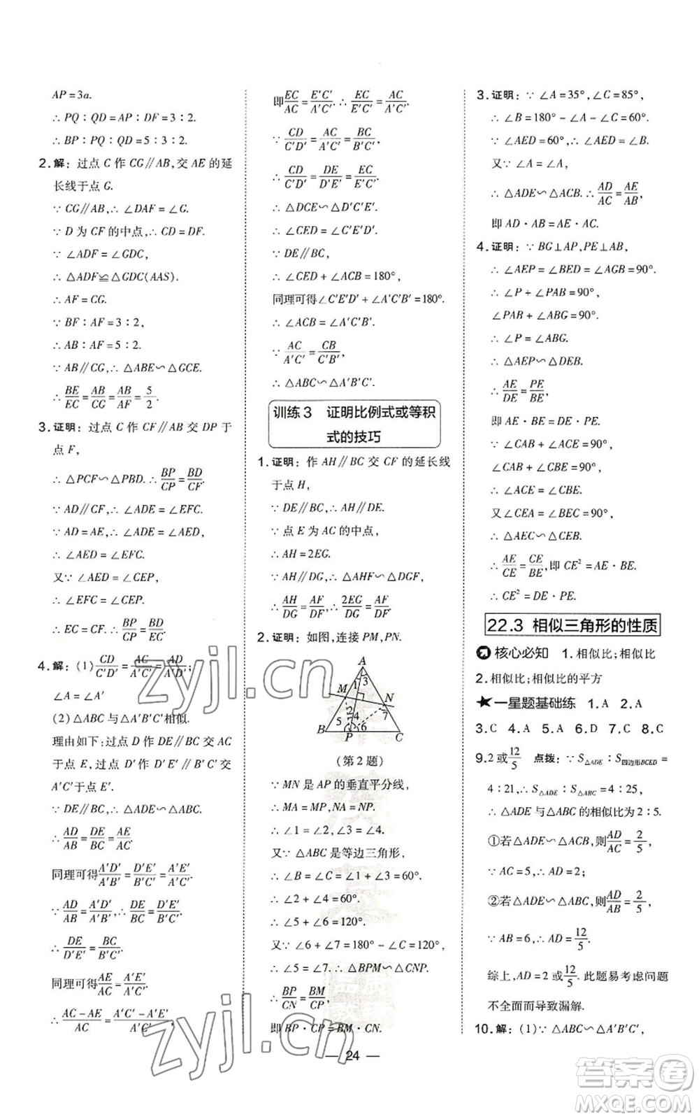 山西教育出版社2022秋季點(diǎn)撥訓(xùn)練九年級(jí)上冊(cè)數(shù)學(xué)滬科版安徽專用參考答案