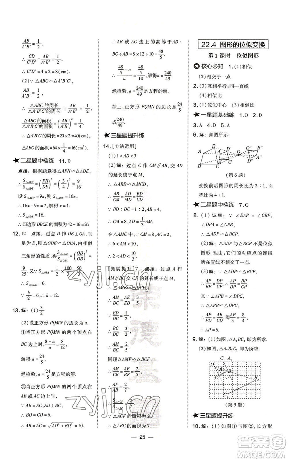 山西教育出版社2022秋季點(diǎn)撥訓(xùn)練九年級(jí)上冊(cè)數(shù)學(xué)滬科版安徽專用參考答案