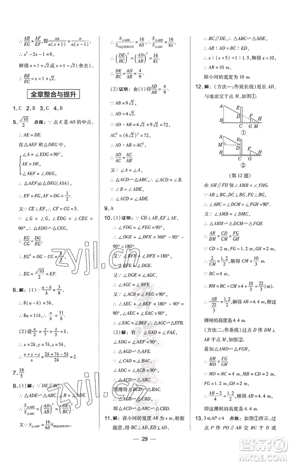 山西教育出版社2022秋季點(diǎn)撥訓(xùn)練九年級(jí)上冊(cè)數(shù)學(xué)滬科版安徽專用參考答案