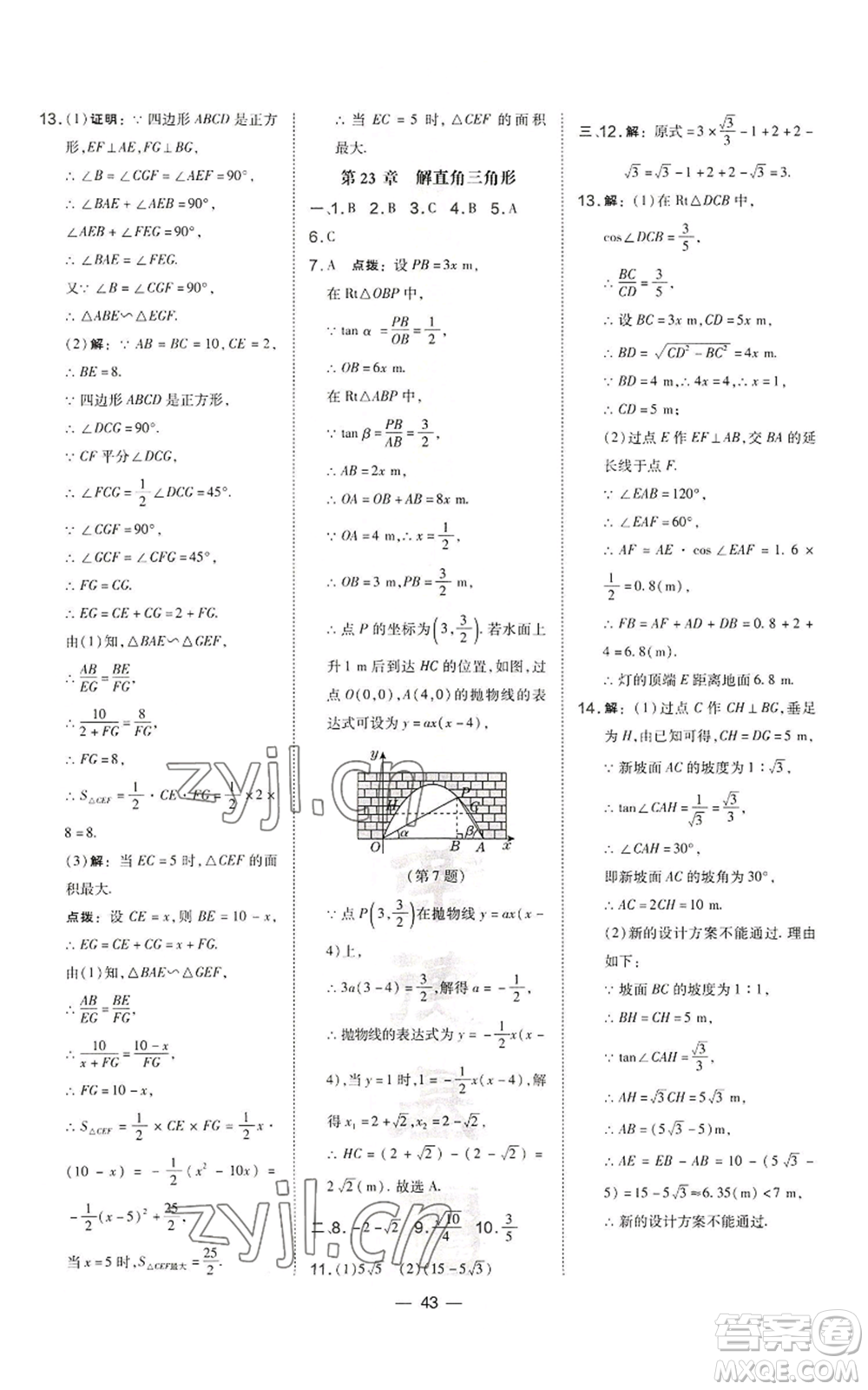 山西教育出版社2022秋季點(diǎn)撥訓(xùn)練九年級(jí)上冊(cè)數(shù)學(xué)滬科版安徽專用參考答案