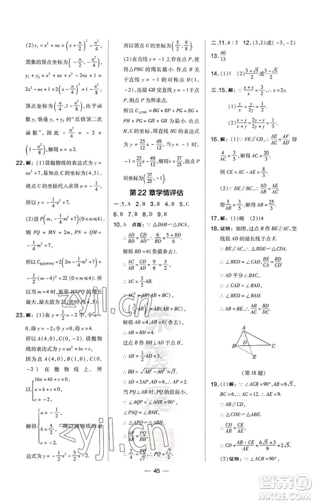 山西教育出版社2022秋季點(diǎn)撥訓(xùn)練九年級(jí)上冊(cè)數(shù)學(xué)滬科版安徽專用參考答案