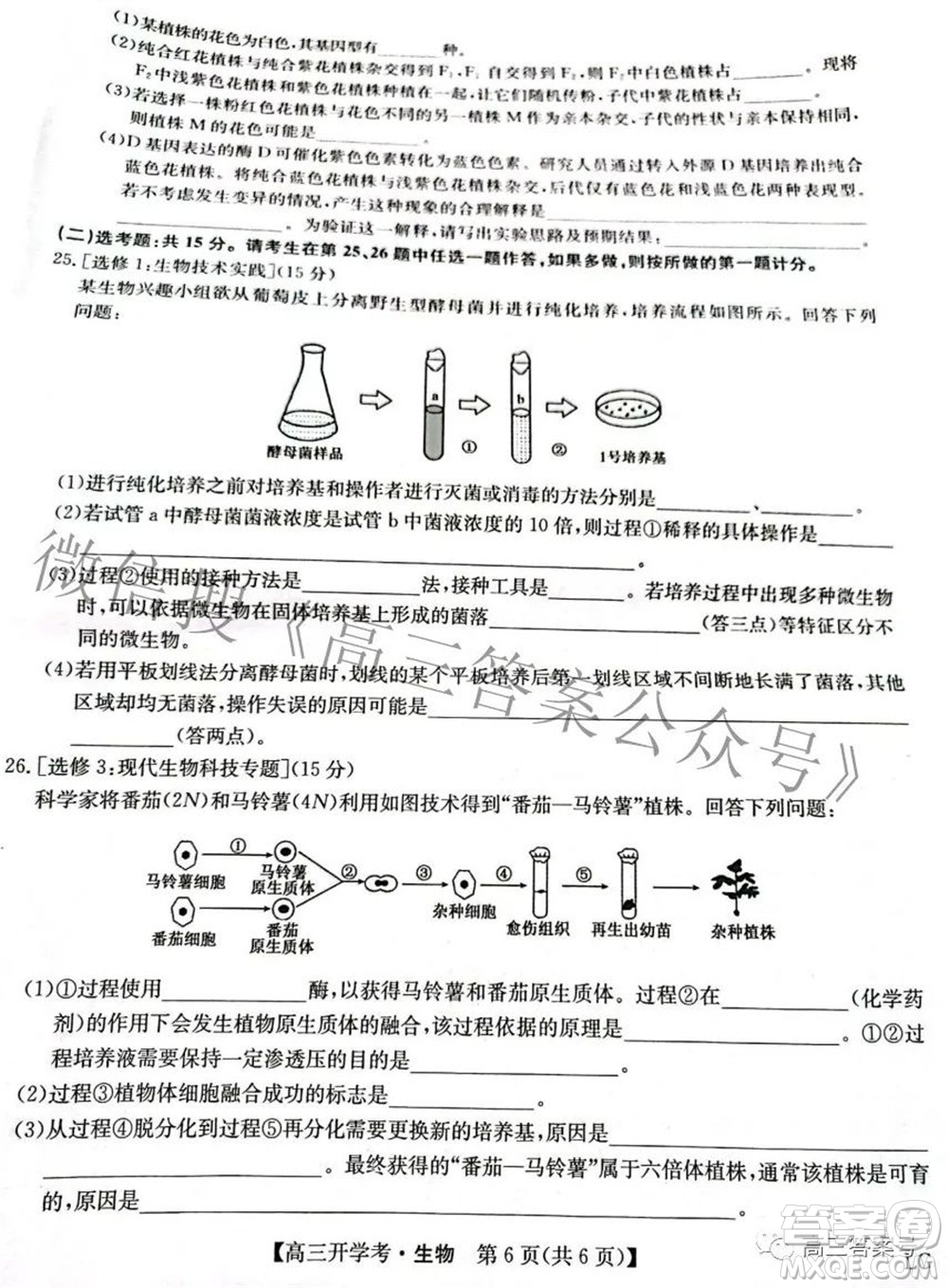 2023屆九師聯(lián)盟9月聯(lián)考老高考高三生物試題及答案