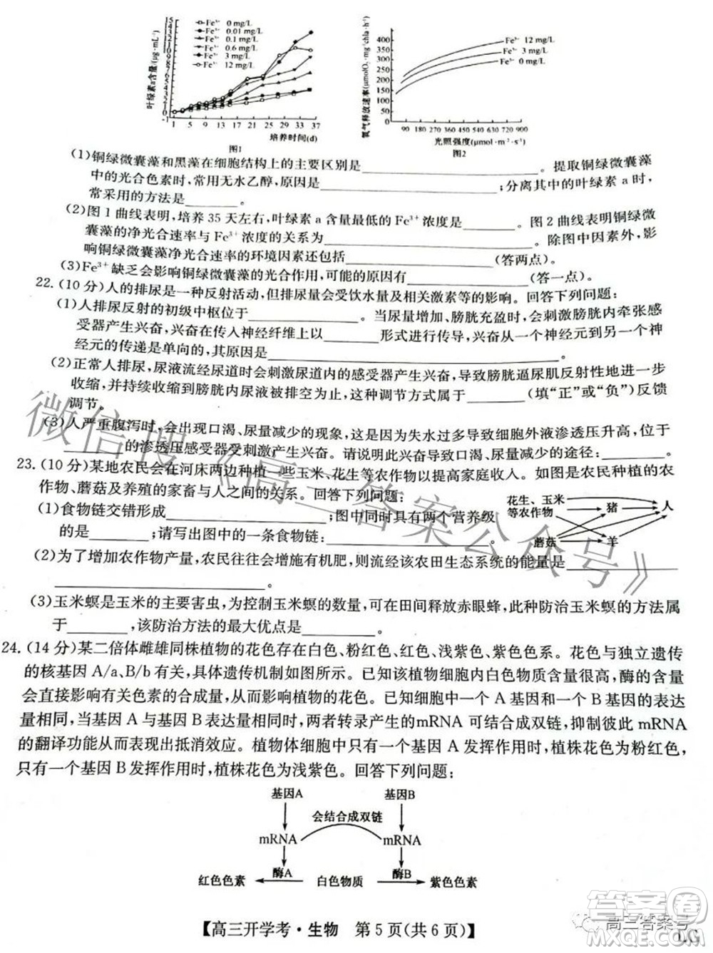 2023屆九師聯(lián)盟9月聯(lián)考老高考高三生物試題及答案