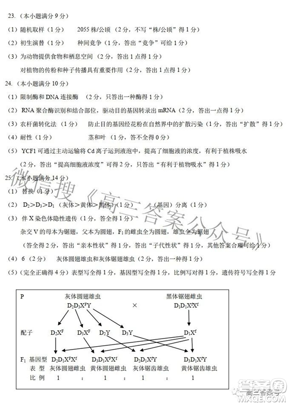 鞍山市普通高中2022-2023學(xué)年度高三第一次質(zhì)量監(jiān)測(cè)生物學(xué)試題及答案