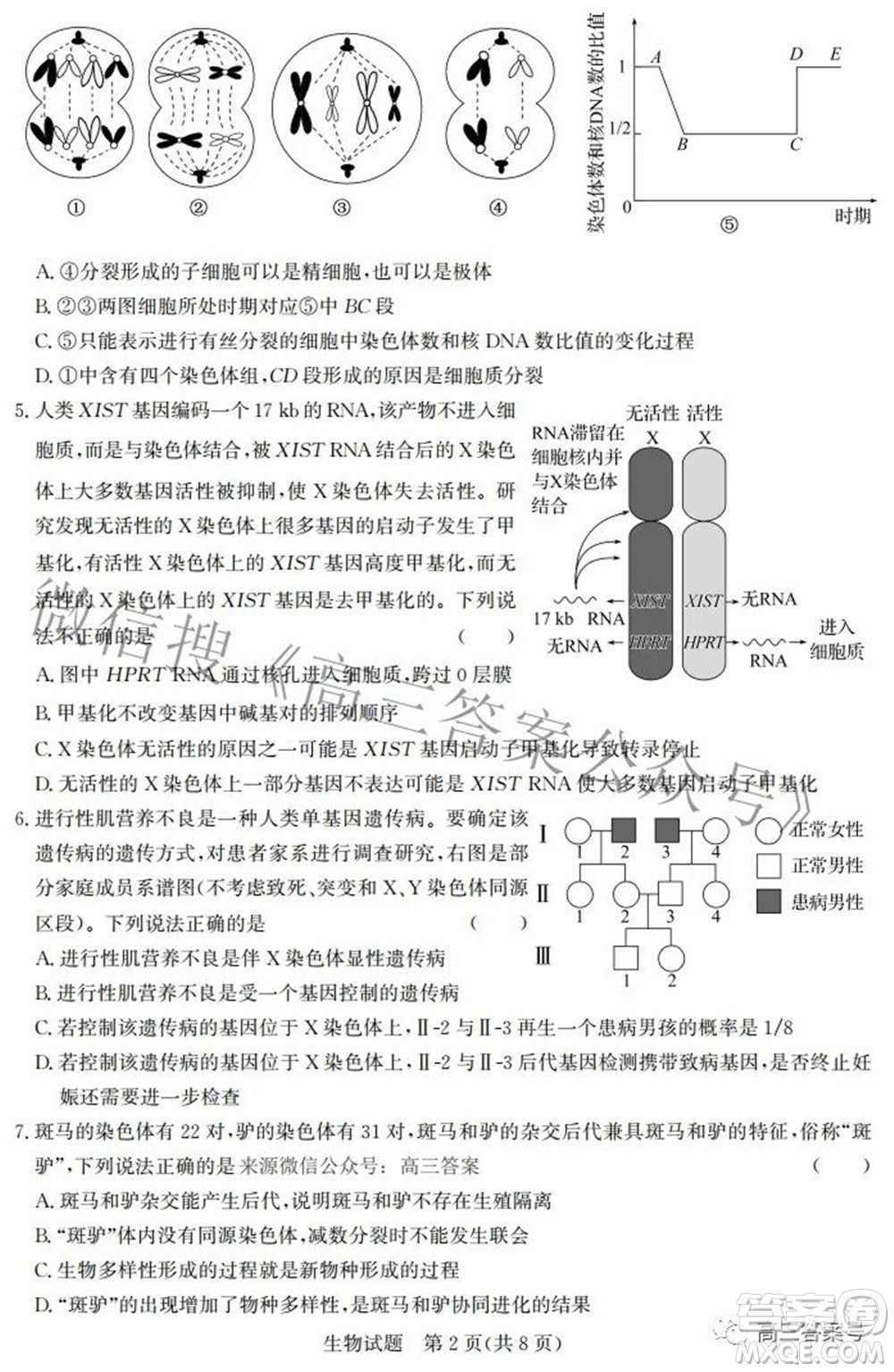 邯鄲市2023屆高三年級摸底考試試卷生物試題及答案