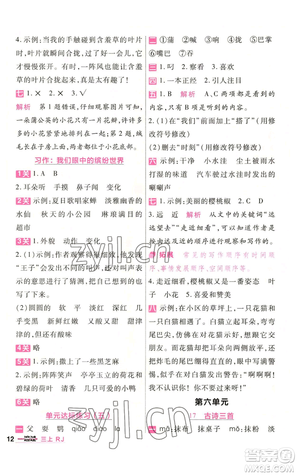 南京師范大學(xué)出版社2022秋季一遍過(guò)三年級(jí)上冊(cè)語(yǔ)文人教版參考答案